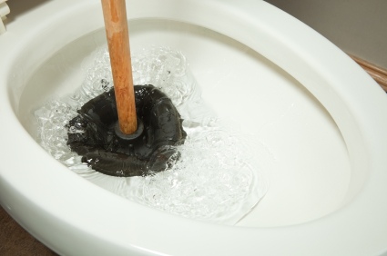 Toilet repair by LYF Services